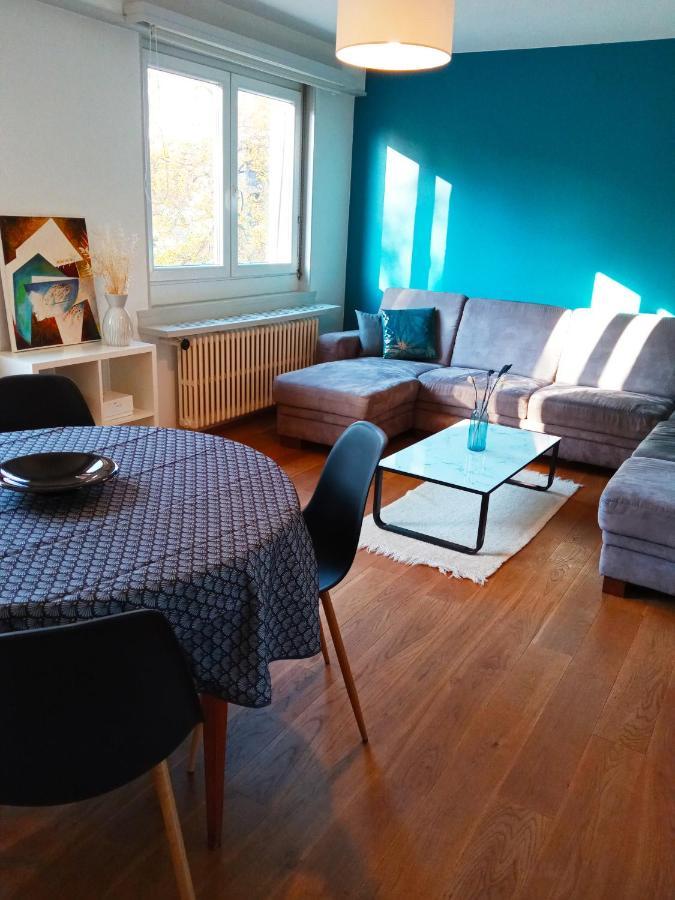 Rare A Colmar - Appartement Champ De Mars Vue Sur Parc - 70M2 - 2 Chambres 外观 照片