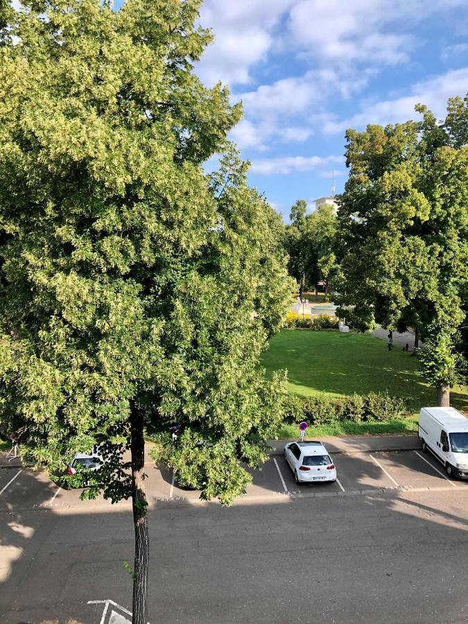 Rare A Colmar - Appartement Champ De Mars Vue Sur Parc - 70M2 - 2 Chambres 外观 照片