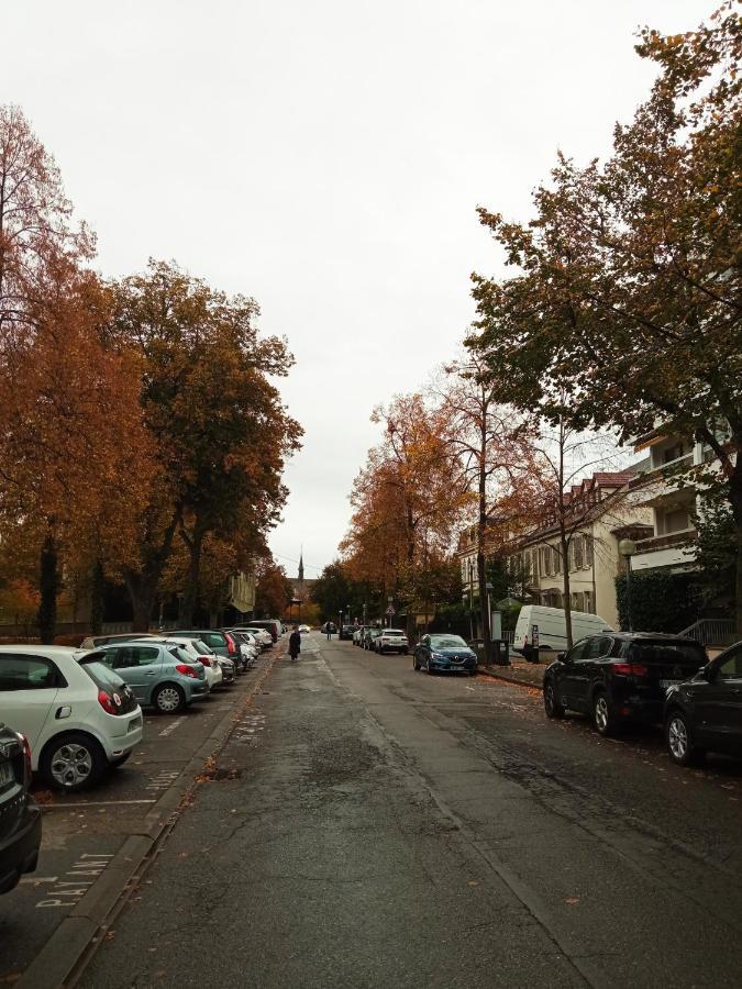 Rare A Colmar - Appartement Champ De Mars Vue Sur Parc - 70M2 - 2 Chambres 外观 照片