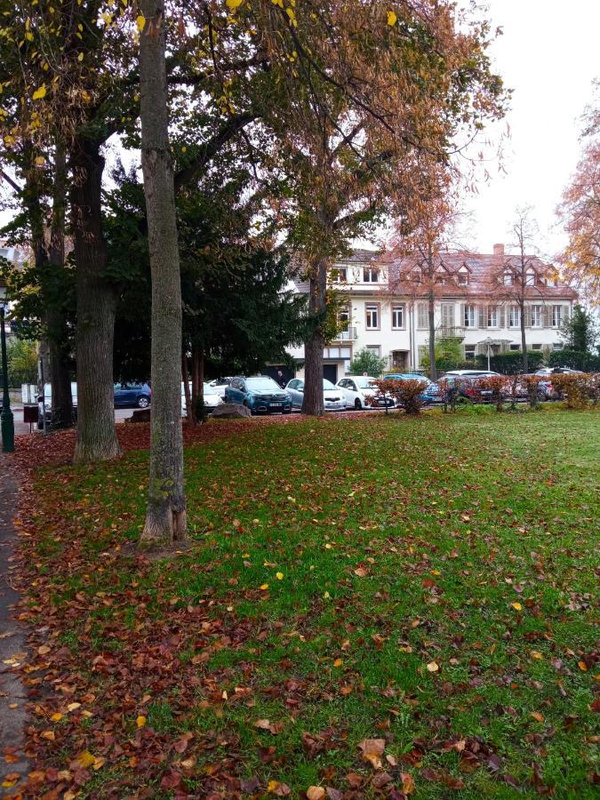 Rare A Colmar - Appartement Champ De Mars Vue Sur Parc - 70M2 - 2 Chambres 外观 照片