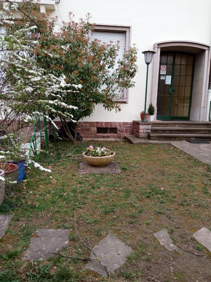 Rare A Colmar - Appartement Champ De Mars Vue Sur Parc - 70M2 - 2 Chambres 外观 照片