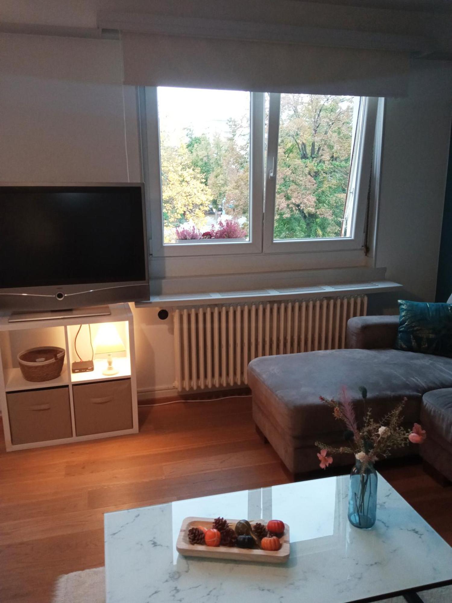 Rare A Colmar - Appartement Champ De Mars Vue Sur Parc - 70M2 - 2 Chambres 外观 照片